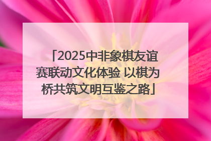 2025中非象棋友谊赛联动文化体验 以棋为桥共筑文明互鉴之路
